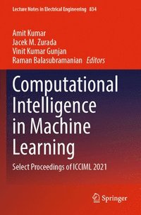 bokomslag Computational Intelligence in Machine Learning