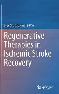 bokomslag Regenerative Therapies in Ischemic Stroke Recovery