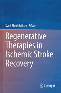 bokomslag Regenerative Therapies in Ischemic Stroke Recovery