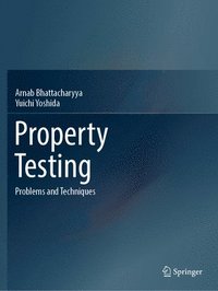 bokomslag Property Testing