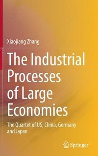 bokomslag The Industrial Processes of Large Economies