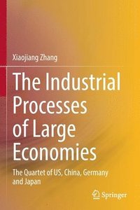 bokomslag The Industrial Processes of Large Economies