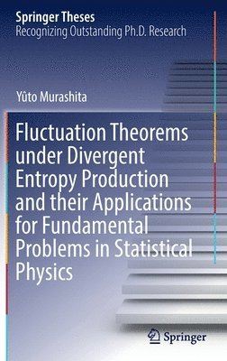 Fluctuation Theorems under Divergent Entropy Production and their Applications for Fundamental Problems in Statistical Physics 1