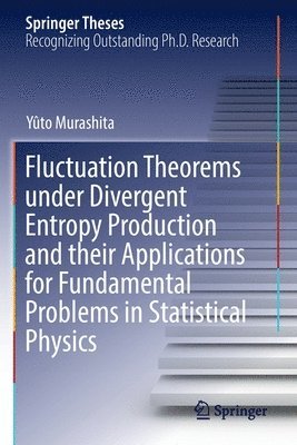 Fluctuation Theorems under Divergent Entropy Production and their Applications for Fundamental Problems in Statistical Physics 1