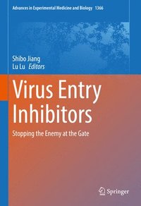 bokomslag Virus Entry Inhibitors