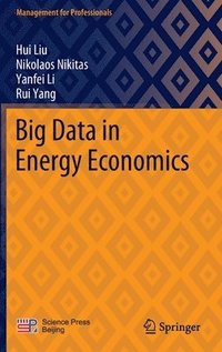bokomslag Big Data in Energy Economics