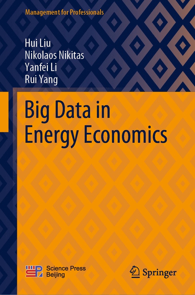 Hui Liu, Nikolaos Nikitas, Yanfei Li, Rui Yang - Big Data in Energy Economics, Inbunden