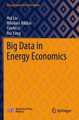 bokomslag Big Data in Energy Economics