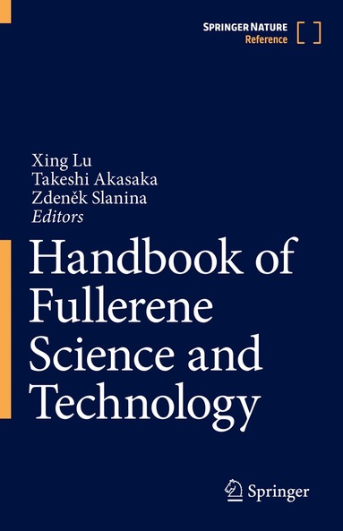 Xing Lu, Takeshi Akasaka, Zdeněk Slanina - Handbook of Fullerene Science and Technology, Inbunden
