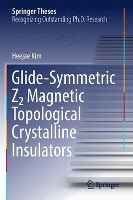 bokomslag Glide-Symmetric Z2 Magnetic Topological Crystalline Insulators