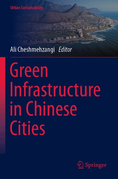 Ali Cheshmehzangi - Green Infrastructure in Chinese Cities, Häftad