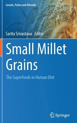 Small Millet Grains 1