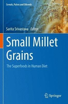 Small Millet Grains 1