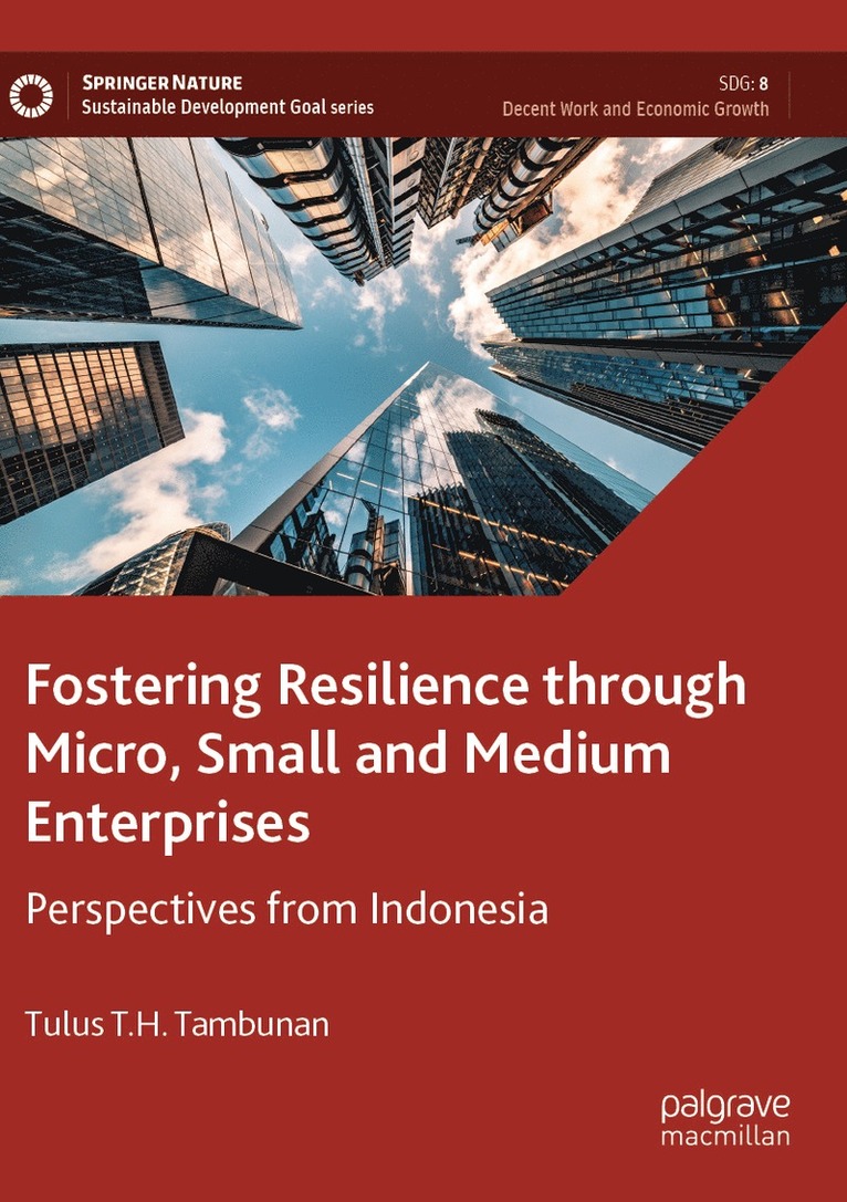 Tulus T.H. Tambunan, Tulus T. H. Tambunan - Fostering Resilience through Micro, Small and Medium Enterprises, Häftad
