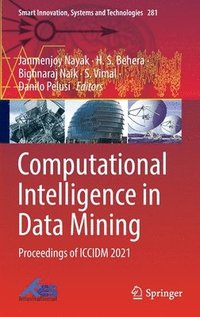 bokomslag Computational Intelligence in Data Mining