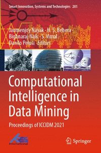 bokomslag Computational Intelligence in Data Mining