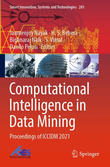 Janmenjoy Nayak, H.S. Behera, Bighnaraj Naik, S. Vimal, Danilo Pelusi - Computational Intelligence in Data Mining, Häftad