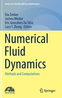 bokomslag Numerical Fluid Dynamics