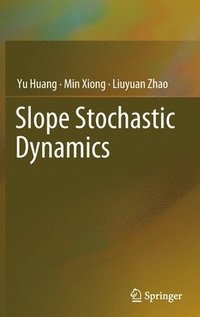 bokomslag Slope Stochastic Dynamics