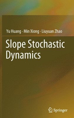 Slope Stochastic Dynamics 1