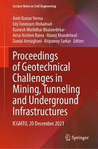 bokomslag Proceedings of Geotechnical Challenges in Mining, Tunneling and Underground Infrastructures