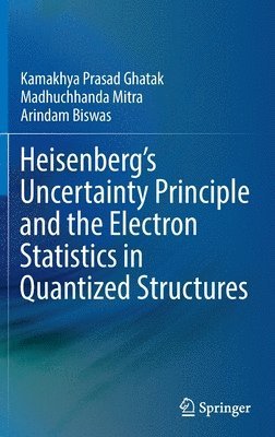 bokomslag Heisenbergs Uncertainty Principle and the Electron Statistics in Quantized Structures