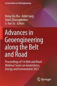 bokomslag Advances in Geoengineering along the Belt and Road
