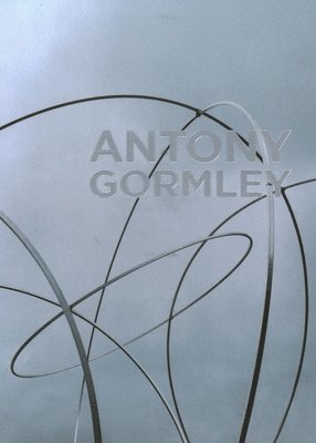 bokomslag Antony Gormley