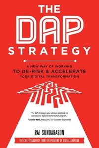 bokomslag The DAP Strategy