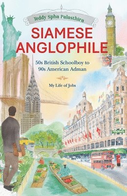 Siamese Anglophile 1