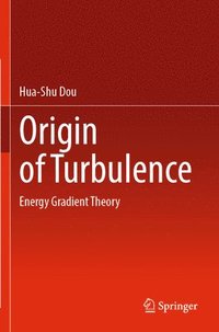 bokomslag Origin of Turbulence