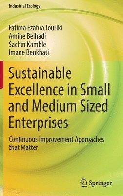 bokomslag Sustainable Excellence in Small and Medium Sized Enterprises