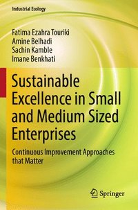 bokomslag Sustainable Excellence in Small and Medium Sized Enterprises
