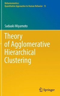 bokomslag Theory of Agglomerative Hierarchical Clustering
