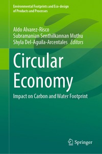 bokomslag Circular Economy