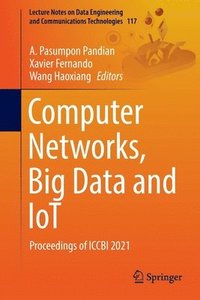 bokomslag Computer Networks, Big Data and IoT