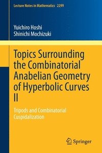 bokomslag Topics Surrounding the Combinatorial Anabelian Geometry of Hyperbolic Curves II