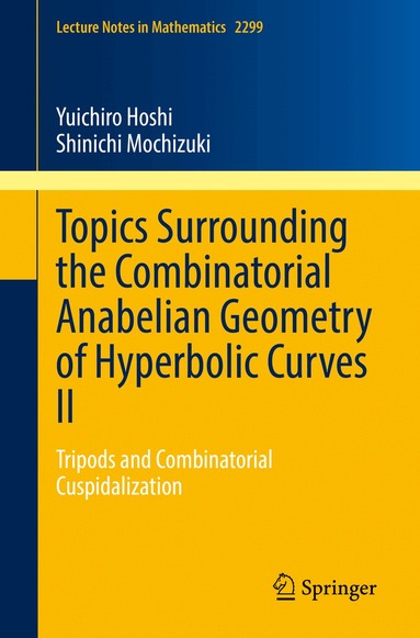 Yuichiro Hoshi, Shinichi Mochizuki - Topics Surrounding the Combinatorial Anabelian Geometry of Hyperbolic Curves II, Häftad