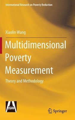 bokomslag Multidimensional Poverty Measurement