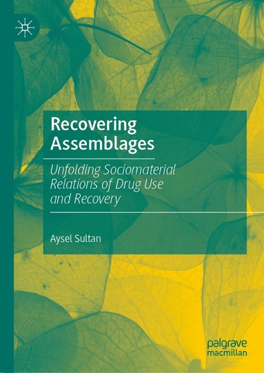 bokomslag Recovering Assemblages