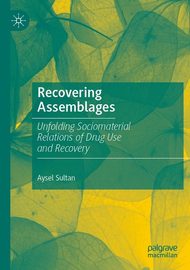 bokomslag Recovering Assemblages