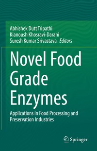 bokomslag Novel Food Grade Enzymes