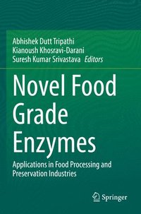 bokomslag Novel Food Grade Enzymes