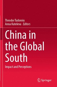 bokomslag China in the Global South