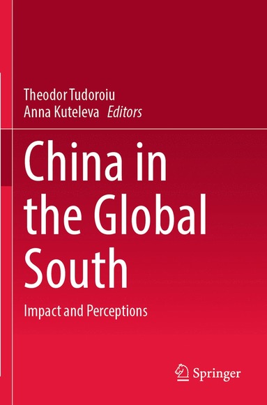 bokomslag China in the Global South