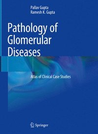 bokomslag Pathology of Glomerular Diseases