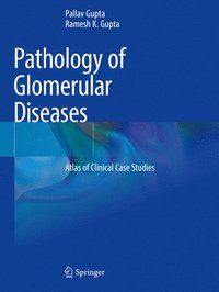 bokomslag Pathology of Glomerular Diseases