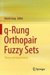 bokomslag q-Rung Orthopair Fuzzy Sets