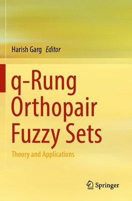 Harish Garg - q-Rung Orthopair Fuzzy Sets, Häftad