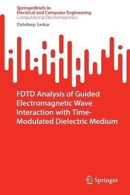 FDTD Analysis of Guided Electromagnetic Wave Interaction with Time-Modulated Dielectric Medium